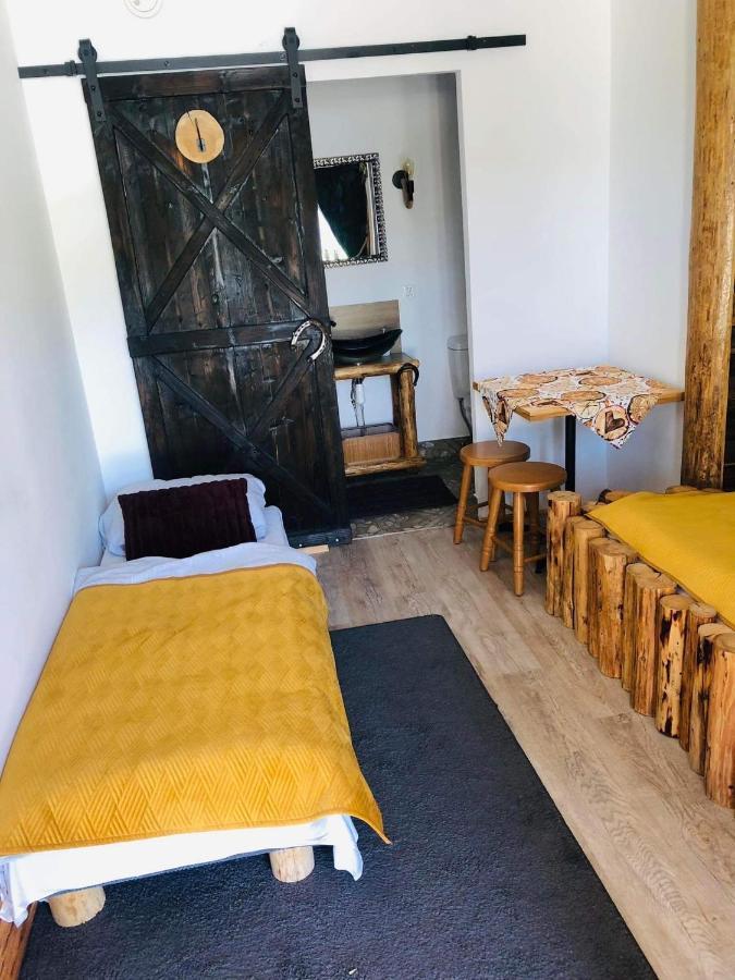Rochowa Buznica Zakopane Exterior foto